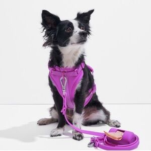 WILD ONE Harness Leash Set Orchid XS
Extra Small